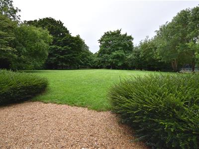 Picture 15